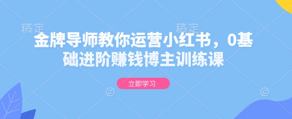 金牌导师教你运营小红书，0基础进阶赚钱博主训练课-甬战资源库