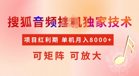 全网首发搜狐音频挂JI独家技术，项目红利期，可矩阵可放大，稳定月入8k【揭秘】-甬战资源库