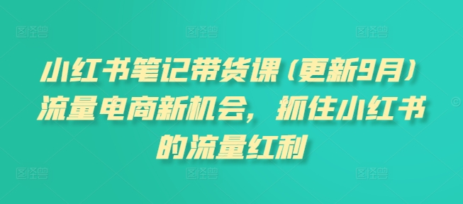 小红书笔记带货课(更新25年2月)流量电商新机会，抓住小红书的流量红利-甬战资源库