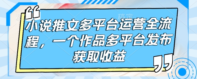 小说推文多平台运营全流程，一个作品多平台发布获取收益-甬战资源库
