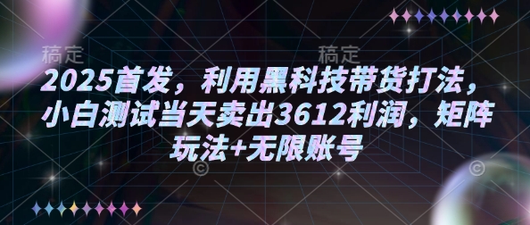 2025首发，利用黑科技带货打法，小白测试当天卖出3612利润，矩阵玩法+无限账号【揭秘】-甬战资源库