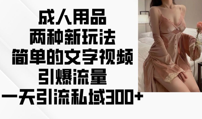 成人用品两种新玩法，简单的文字视频引爆流量，一天引流私域300+-甬战资源库