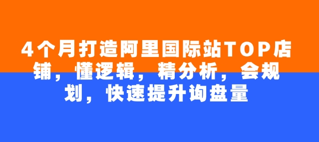 4个月打造阿里国际站TOP店铺，懂逻辑，精分析，会规划，快速提升询盘量-甬战资源库