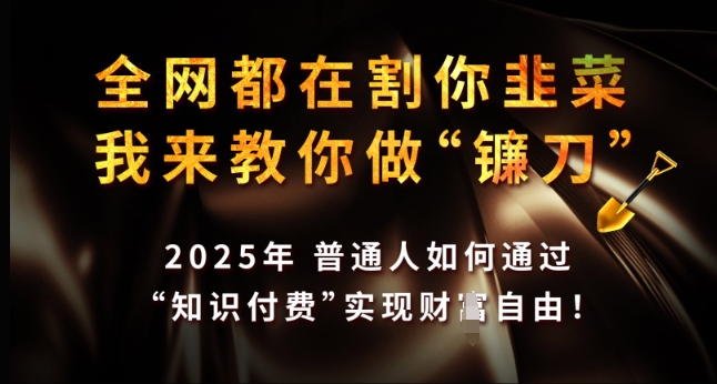 全网都在割你韭菜，我来教你做镰刀，2025年普通人如何通过 知识付费 实现财F自由【揭秘】-甬战资源库