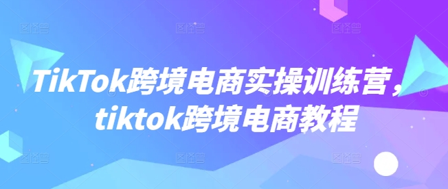 TikTok跨境电商实操训练营，tiktok跨境电商教程-甬战资源库