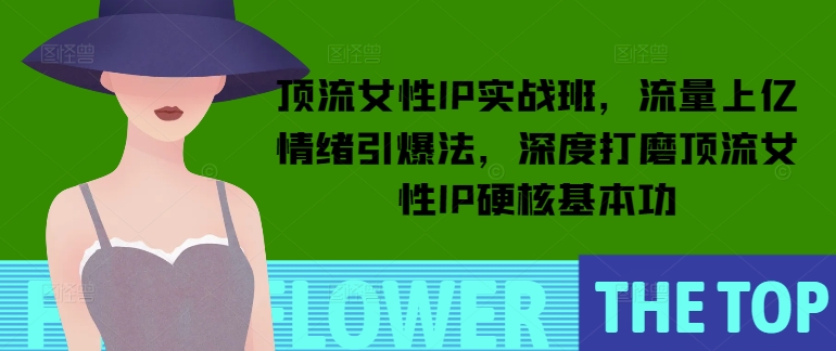 顶流女性IP实战班，流量上亿情绪引爆法，深度打磨顶流女性IP硬核基本功-甬战资源库