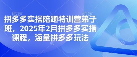 拼多多实操陪跑特训营弟子班，2025年2月拼多多实操课程，海量拼多多玩法-甬战资源库