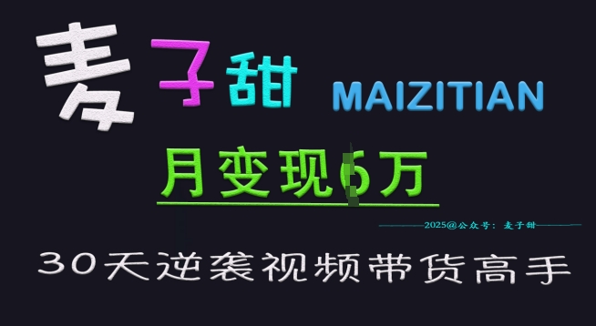 麦子甜30天逆袭视频带货高手，单月变现6W加特训营-甬战资源库