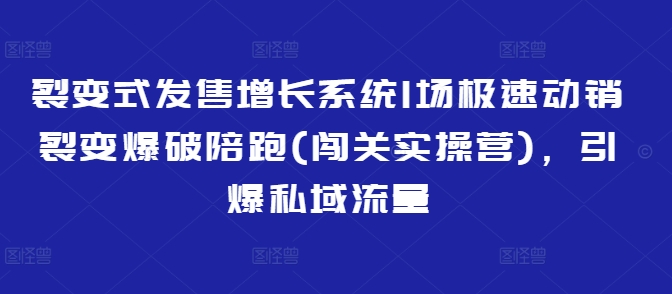 裂变式发售增长系统1场极速动销裂变爆破陪跑(闯关实操营)，引爆私域流量-甬战资源库