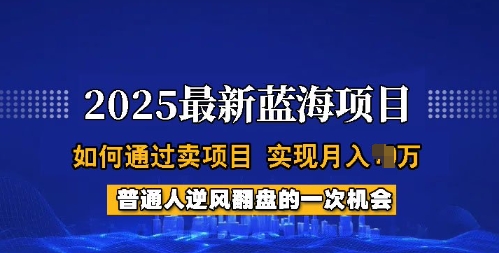 2025蓝海项目，普通人如何通过卖项目，实现月入过W，全过程【揭秘】-甬战资源库