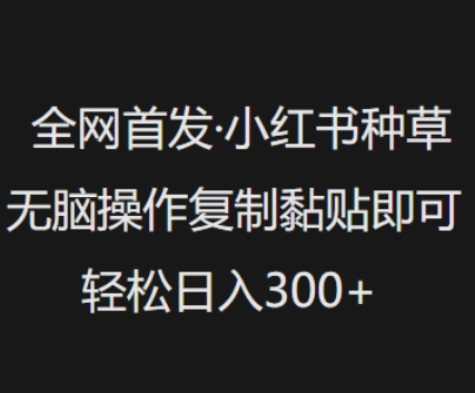全网首发，小红书种草无脑操作，复制黏贴即可，轻松日入3张-甬战资源库