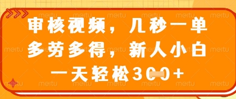 最新审核视频，几秒一单，多劳多得，新人小白一天轻松3张【揭秘】-甬战资源库