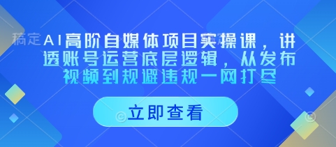 AI高阶自媒体项目实操课，讲透账号运营底层逻辑，从发布视频到规避违规一网打尽-甬战资源库