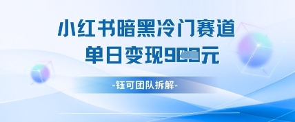 小红书冷门”暗黑”赛道，单日收益多张-甬战资源库