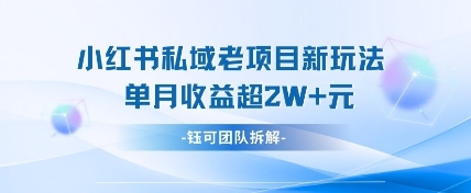 小红书私域项目新玩法，单月变现过W+-甬战资源库
