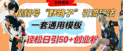 视频号“野路子”玩法，评论区疯狂截流，一套模板单日单号引流50+创业粉-甬战资源库