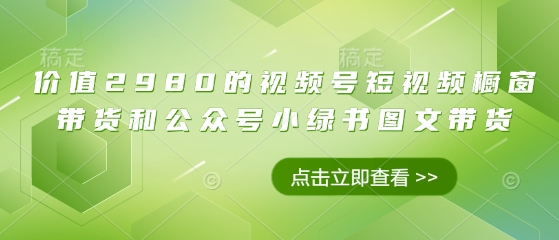 价值2980的视频号短视频橱窗带货和公众号小绿书图文带货-甬战资源库