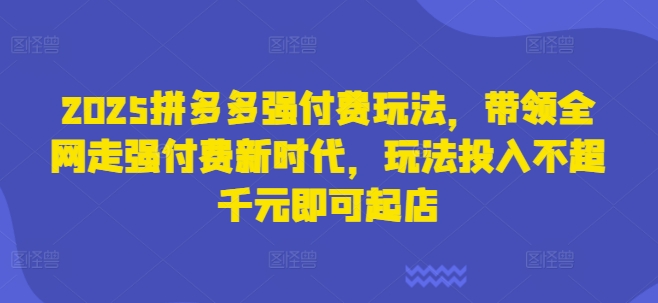 2025拼多多强付费玩法，带领全网走强付费新时代，玩法投入不超千元即可起店-甬战资源库
