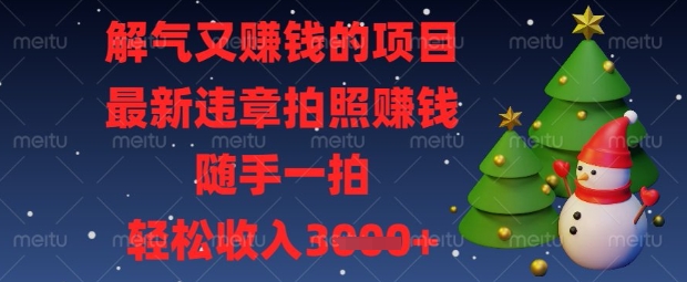 解气又挣钱的项目，最新违章拍照挣钱，随手一拍，轻松收入数张【揭秘】-甬战资源库