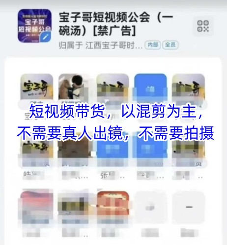 宝子哥头部团队短视频带货，以混剪为主，不需要真人出镜，不需要拍摄-甬战资源库