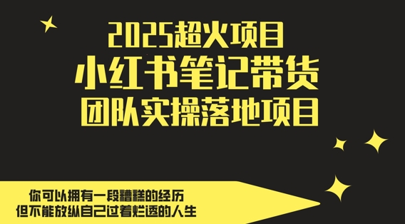 2025超火项目，副业最佳选择，小红书笔记带货团队实操落地项目，，轻松日入5张-甬战资源库