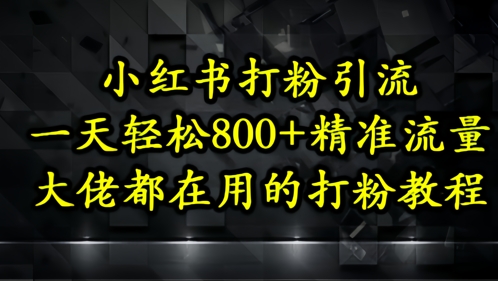 小红书打粉引流，一天轻松500+精准流量，大佬都在用的打粉教程-甬战资源库