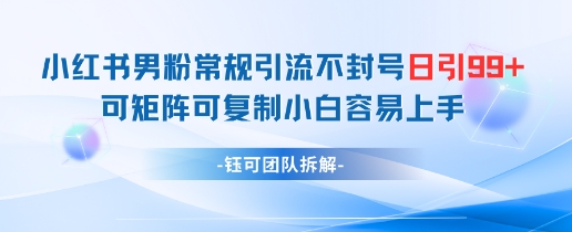 小红书男粉常规引流不封号日引99+变现简单 可矩阵可复制小白容易上手-甬战资源库