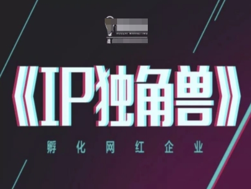 IP独角兽，孵化网红企业，ip教程-甬战资源库
