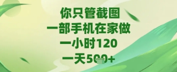 你只管截图，一部手机在家做，苹果安卓都可以，一天5张+【揭秘】-甬战资源库