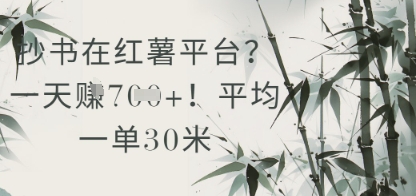 抄书在小红薯平台？平均一单30米，一天收益几张！-甬战资源库