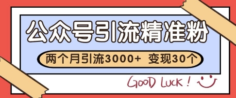 公众号精准粉引流玩法，2个月3000+精准粉，变现30个W【揭秘】-甬战资源库