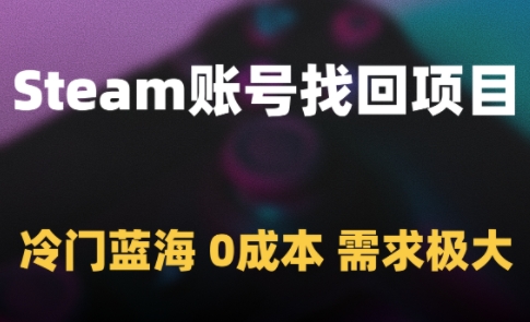 Steam账号找回项目，冷门蓝海，0成本，需求极大-甬战资源库