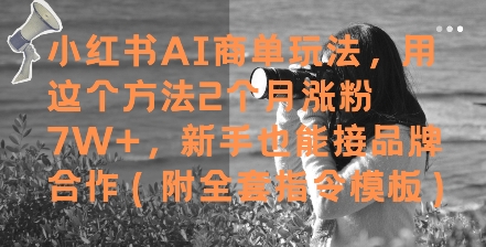 小红书AI商单玩法，用这个方法2个月涨粉7W+，新手也能接品牌合作(附全套指令模板)-甬战资源库
