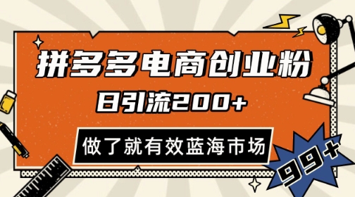 拼多多引流电商创业粉，日引200+，可矩阵放大，做了就有效【揭秘】-甬战资源库