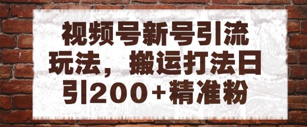 视频号新号引流玩法，搬运打法日引200+精准粉，可矩阵放大【揭秘】-甬战资源库