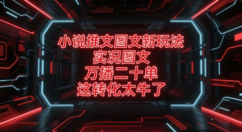 小说推文图文新玩法，实况图文，万播二十单，这转化太牛了！-甬战资源库