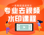 专业去视频水印教程 静态水印、动态水印、文字水印、图片水印一套教程通通搞定-甬战资源库