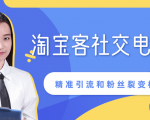 某站内部课程：淘宝客社交电商裂变，精准引流和粉丝裂变模式详解（共6节视频）-甬战资源库