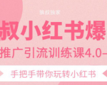 狼叔小红书爆款推广引流训练课4.0,手把手带你玩转小红书-甬战资源库