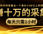 年赚十万的采集站，每天却只需要1小时，一年时间采集出一个售价10W以上的网站-甬战资源库