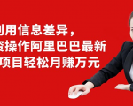 利用信息差异,零投资操作阿里巴巴最新管道项目轻松月赚10000+-甬战资源库