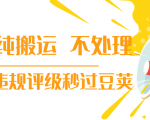 抖音纯搬运 不处理 小技巧,30秒发一个作品,避免违规评级秒过豆荚-甬战资源库