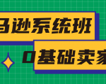 亚马逊系统班,专为0基础卖家量身打造,亚马逊运营流程与架构-甬战资源库