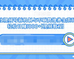 视频号新机制与不刷赞撸养生茶玩法,轻松日赚1000+-甬战资源库