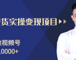 柚子分享课：微信视频号变现攻略，新手零基础轻松日赚千元-甬战资源库
