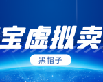 黑帽子淘宝虚拟卖货项目,单店每月收入5000+-甬战资源库