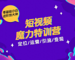 零基础小白进阶到大神《短视频魔力特训营》定位-运营-引流-变现-甬战资源库
