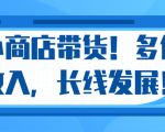 微信小商店带货,爆单多倍收入,长期复利循环!日赚300-800元不等-甬战资源库