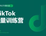 2020最新TikTok流量增长训练营（完结）附PPT-甬战资源库