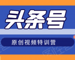头条号原创视频特训营:一对一带你玩转短视频,新号10天日收益破252元-甬战资源库